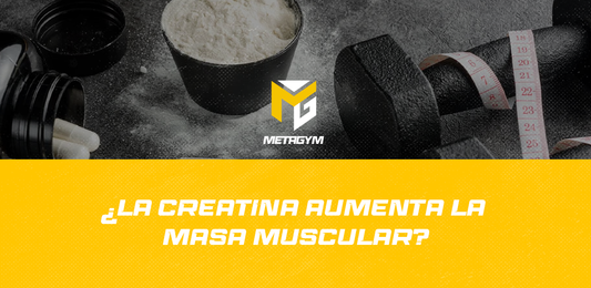 Potencia tus ganancias musculares con la creatina: ¿El secreto para construir músculo?